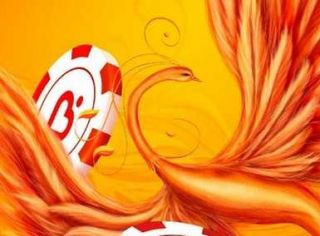 Жар Птица – не волшебная птица Жар Птица – не волшебная птица